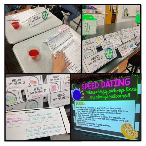 cell dating activity